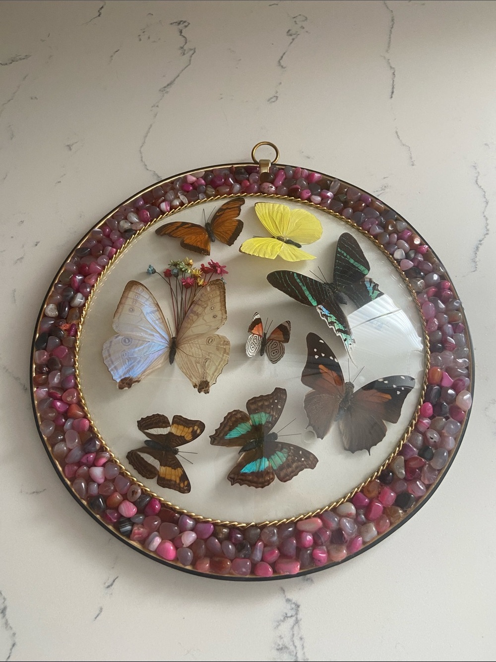 Vintage Peru Real Butterfly Specimen Wall Art Stone 10" - Picture 2 of 9